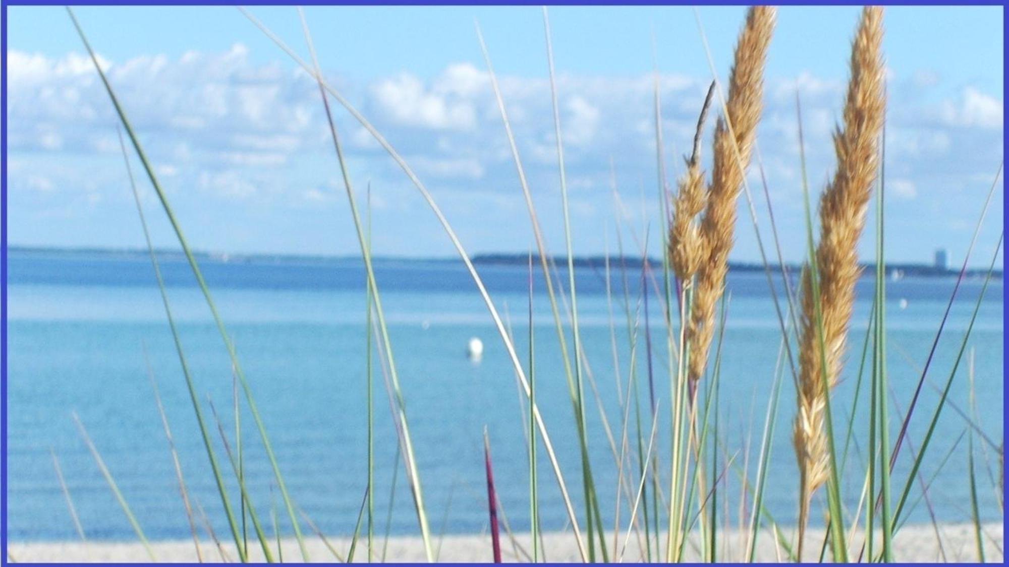 Bonna&#039S Ostsee Oase - Haus Baltic - Whg 180 - Inkl Gratis Wlan Und Saisonstrandkorb Grömitz Εξωτερικό φωτογραφία