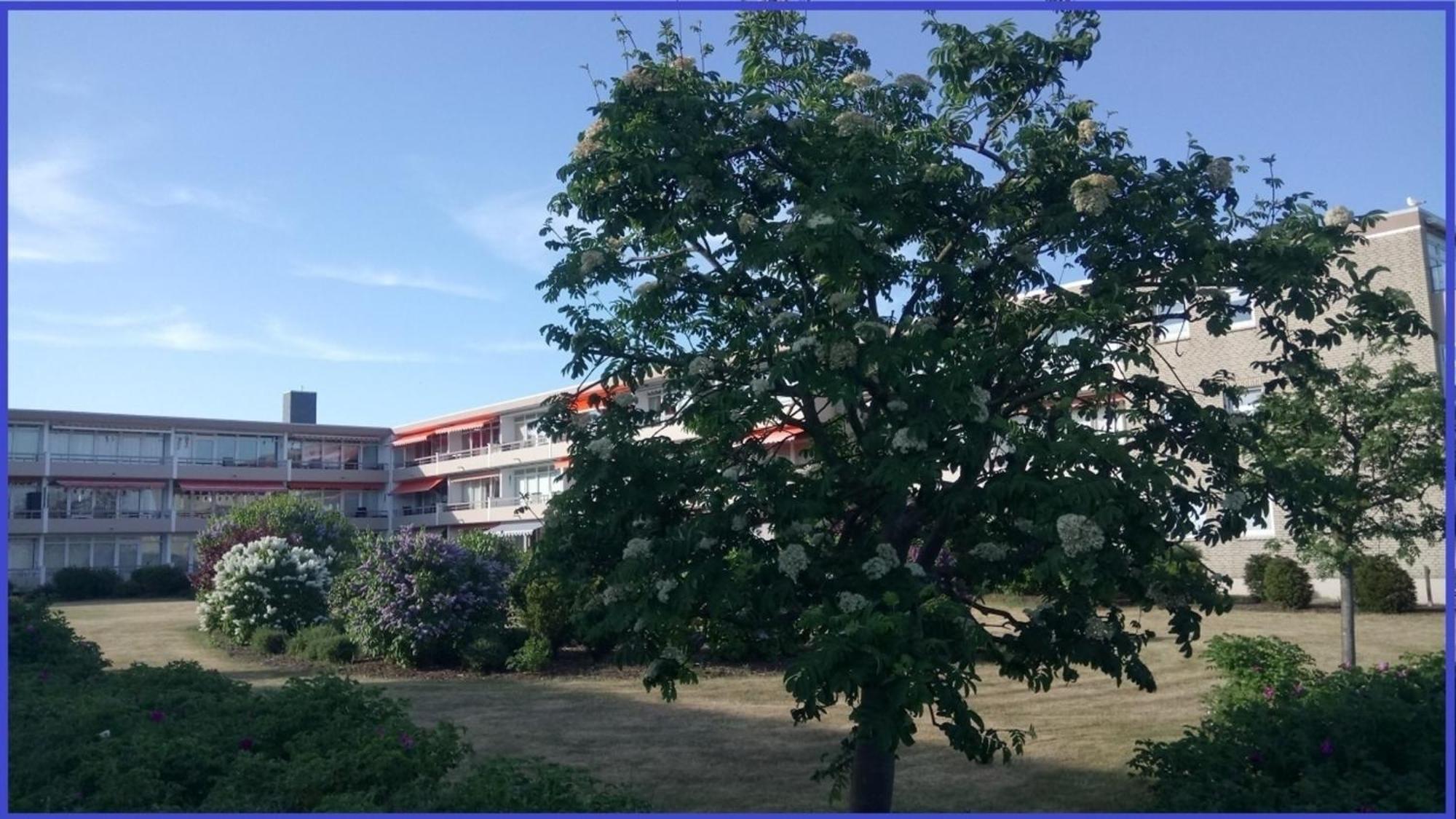 Bonna&#039S Ostsee Oase - Haus Baltic - Whg 180 - Inkl Gratis Wlan Und Saisonstrandkorb Grömitz Εξωτερικό φωτογραφία